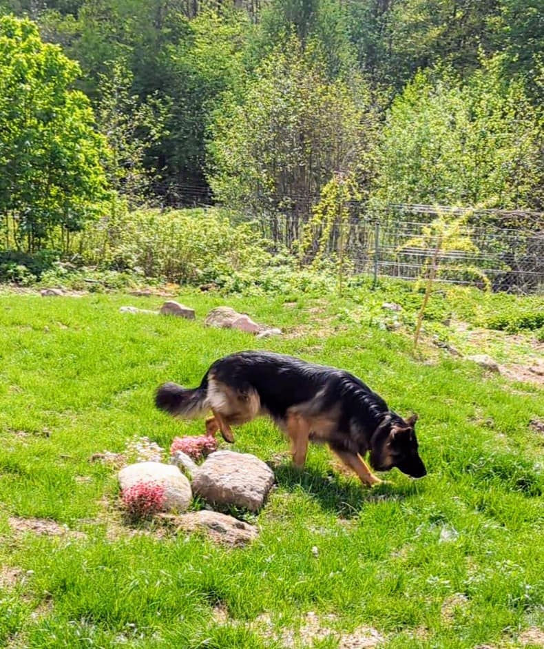 GRANDa HOTEL Kontakt