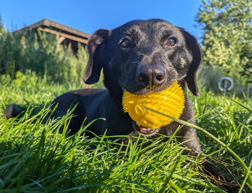 PXL_20240718_172530159.MP~2-male Granda Hotel Gdzie jesteśmy