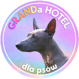 GRANDa Hotel ikona wirtyny